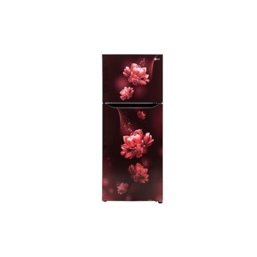 LG 242 L 2 Star Double Door Refrigerator (GL-N292BSCY)