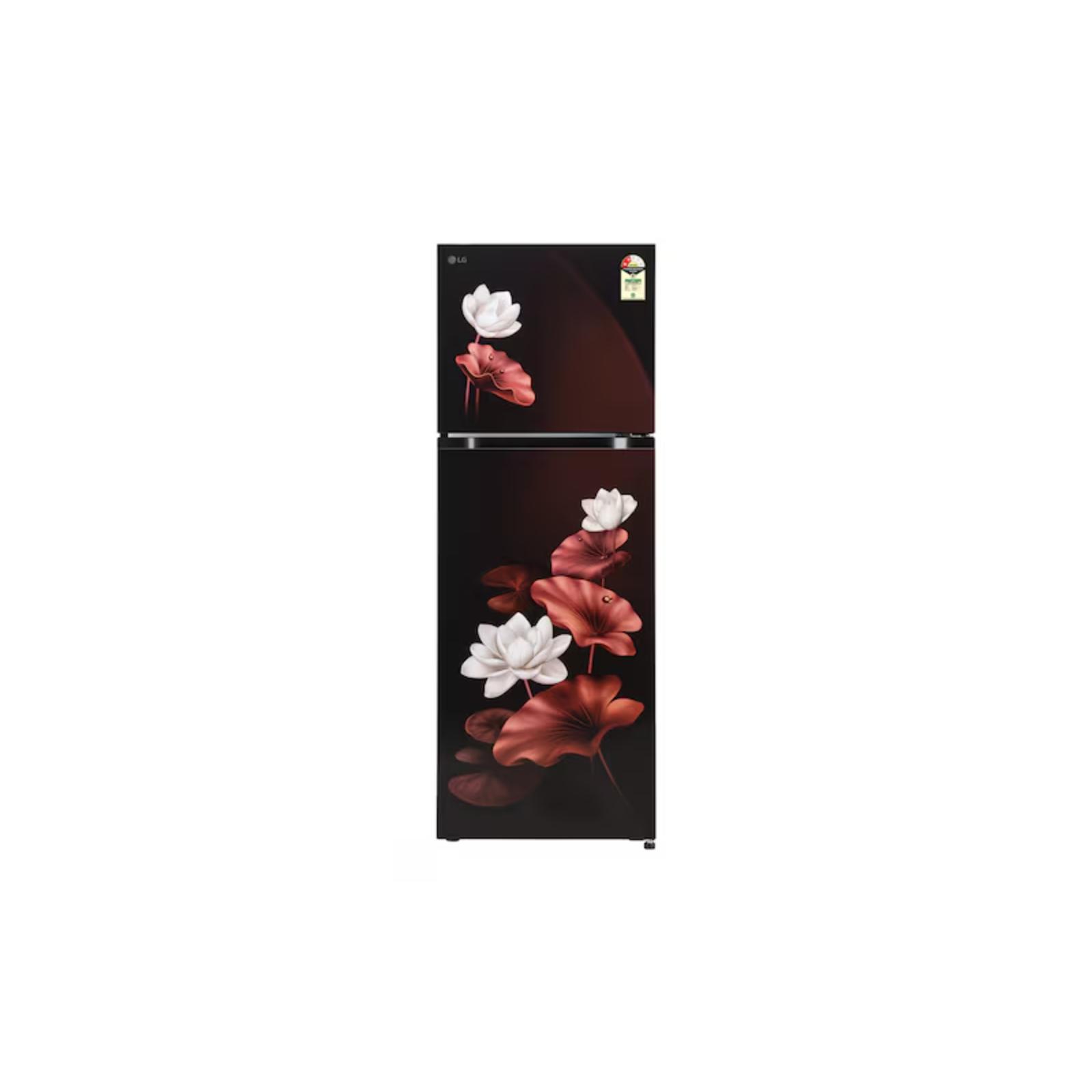 LG 251 L 2 Star Double Door Refrigerator (GLT2526XWSL)